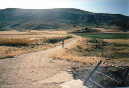 Camino de Santiago